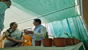 India’s first tissue culture derived oil palm clones planting by ICAR-IIOPR