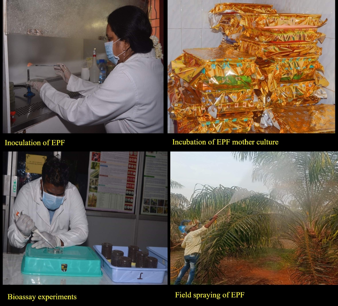 Biocontrol lab